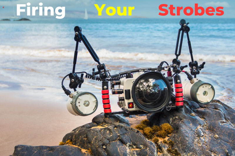 How to Fire Your Underwater Strobes Underwater Photography Guide